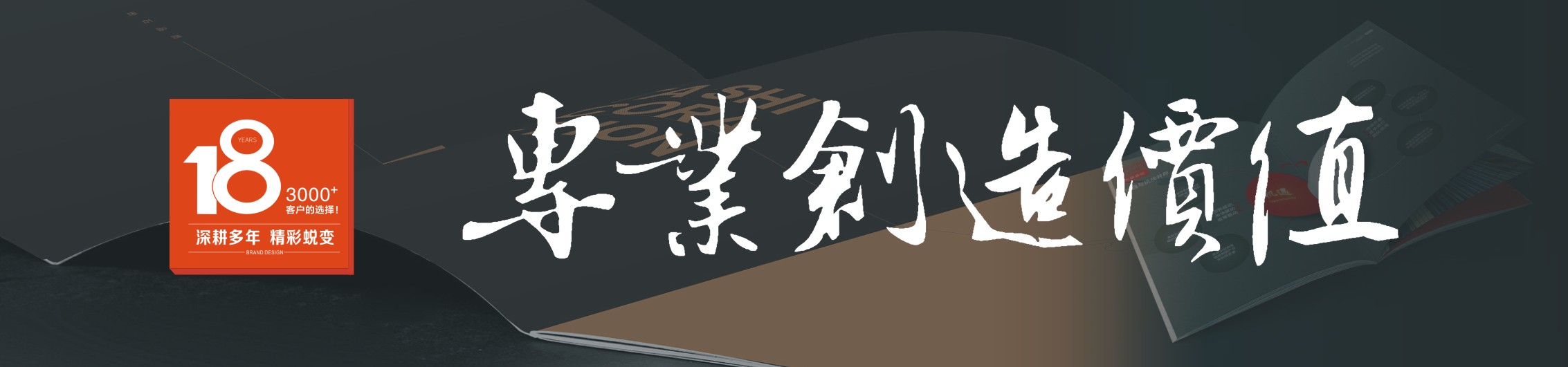 长沙画册设计 长沙宣传册设计  长沙VI设计_VI设计